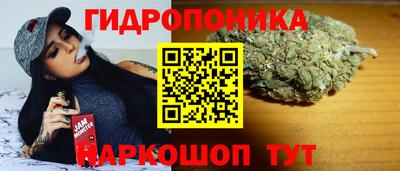 спайс Будённовск