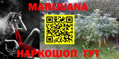 спиды Дмитров